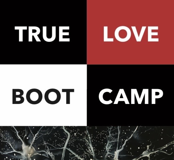 True Love Boot Camp Book